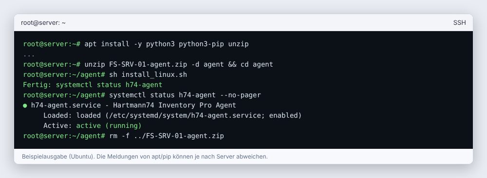 Installation und Kontrolle auf einem Linux-Server.